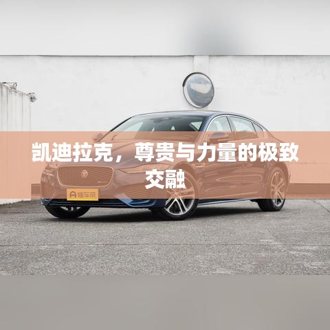 移樽就教 第2頁