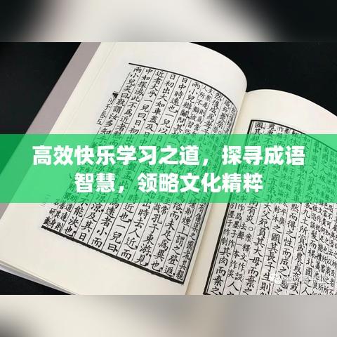 高效快樂學(xué)習(xí)之道，探尋成語智慧，領(lǐng)略文化精粹