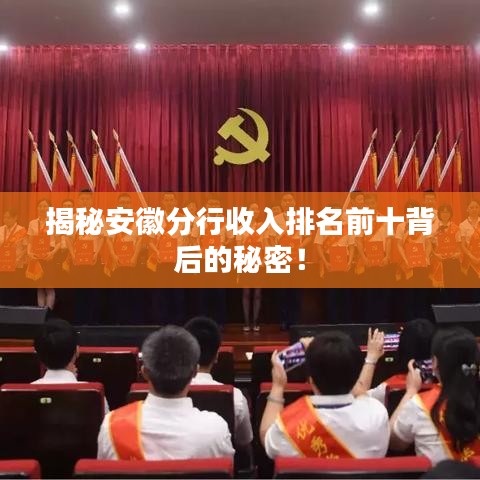 揭秘安徽分行收入排名前十背后的秘密！