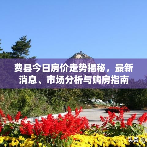 七嘴八張 第2頁(yè)