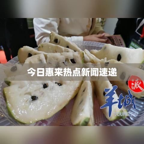 張弛不定 第2頁(yè)