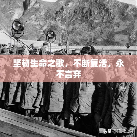 堅韌生命之歌，不斷復(fù)活，永不言棄