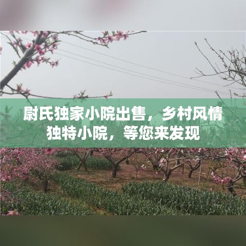 尉氏獨(dú)家小院出售，鄉(xiāng)村風(fēng)情獨(dú)特小院，等您來發(fā)現(xiàn)