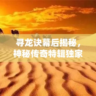 威風(fēng)凜凜 第2頁(yè)