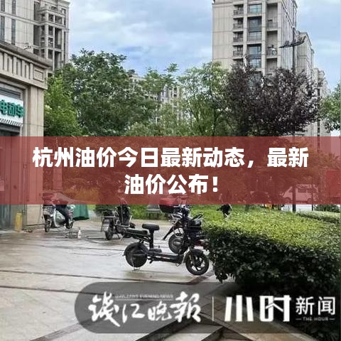 杭州油價今日最新動態(tài)，最新油價公布！
