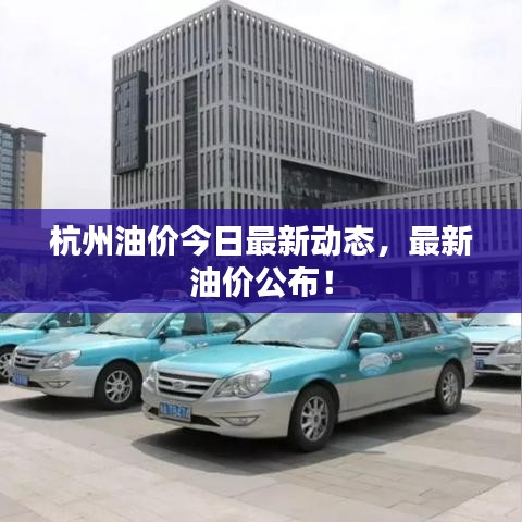 杭州油價今日最新動態,最新油價公布!