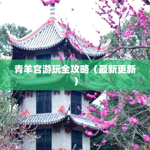 青羊?qū)m游玩全攻略（最新更新）