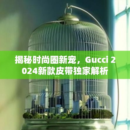 揭秘時(shí)尚圈新寵，Gucci 2024新款皮帶獨(dú)家解析
