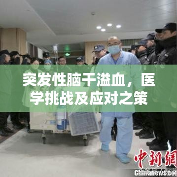 突發(fā)性腦干溢血，醫(yī)學(xué)挑戰(zhàn)及應(yīng)對之策