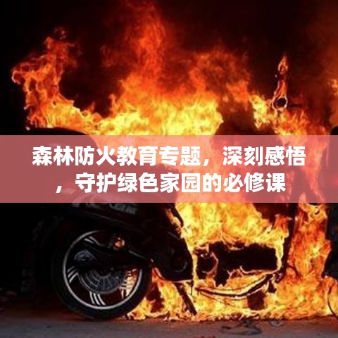 森林防火教育專題，深刻感悟，守護(hù)綠色家園的必修課
