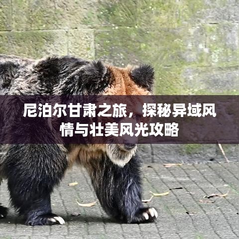 將計就計 第2頁