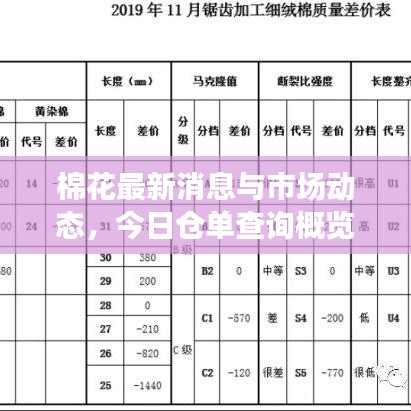 棉花最新消息與市場(chǎng)動(dòng)態(tài)，今日倉(cāng)單查詢概覽