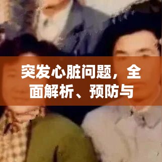 突發(fā)心臟問題，全面解析、預(yù)防與應(yīng)急處理方案
