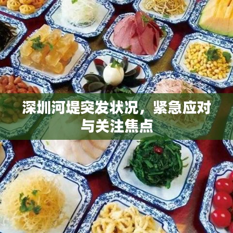 深圳河堤突發(fā)狀況，緊急應(yīng)對與關(guān)注焦點