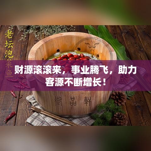 財源滾滾來，事業(yè)騰飛，助力客源不斷增長！