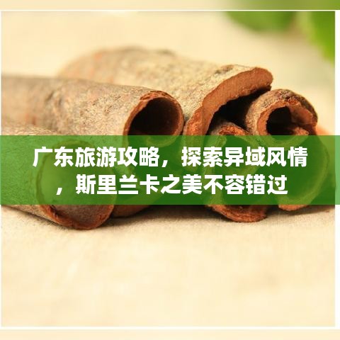 廣東旅游攻略，探索異域風(fēng)情，斯里蘭卡之美不容錯過