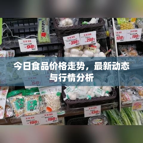 今日食品價格走勢，最新動態(tài)與行情分析