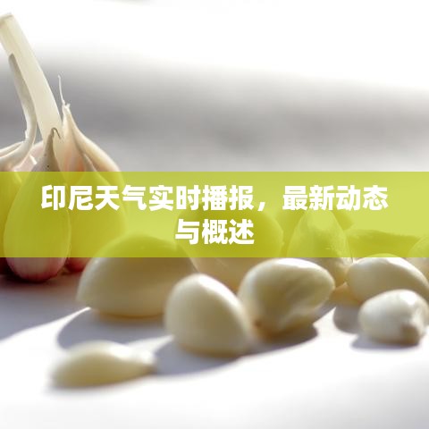 展翅欲飛 第2頁