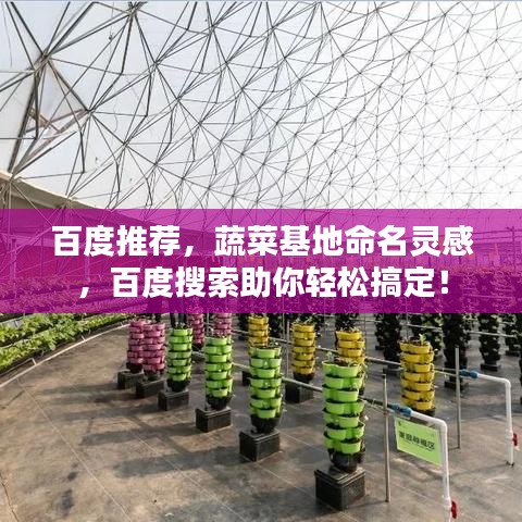 百度推薦，蔬菜基地命名靈感，百度搜索助你輕松搞定！