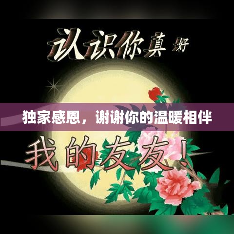 獨(dú)家感恩，謝謝你的溫暖相伴
