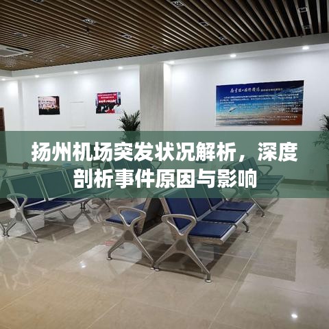 揚(yáng)州機(jī)場(chǎng)突發(fā)狀況解析，深度剖析事件原因與影響