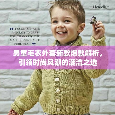男童毛衣外套新款爆款解析，引領(lǐng)時尚風(fēng)潮的潮流之選