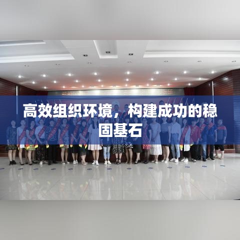 高效組織環(huán)境，構(gòu)建成功的穩(wěn)固基石