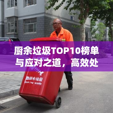 廚余垃圾TOP10榜單與應(yīng)對之道，高效處理策略揭秘
