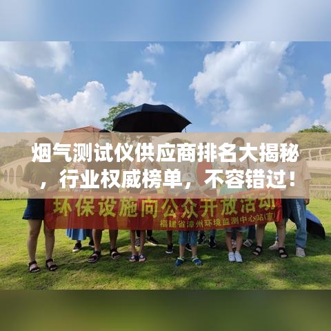 煙氣測試儀供應商排名大揭秘，行業(yè)權威榜單，不容錯過！