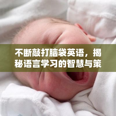 不斷敲打腦袋英語，揭秘語言學習的智慧與策略
