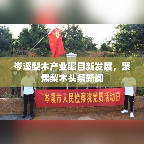 岑溪梨木產(chǎn)業(yè)矚目新發(fā)展，聚焦梨木頭條新聞