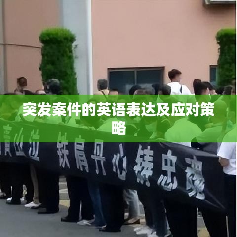 瑞雪紛飛 第2頁