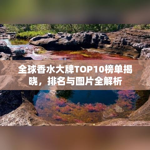 全球香水大牌TOP10榜單揭曉，排名與圖片全解析