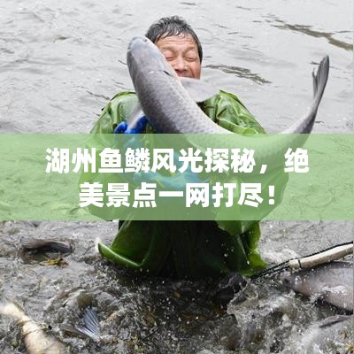 湖州魚(yú)鱗風(fēng)光探秘，絕美景點(diǎn)一網(wǎng)打盡！