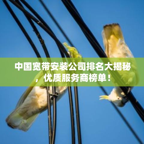 中國寬帶安裝公司排名大揭秘，優(yōu)質服務商榜單！