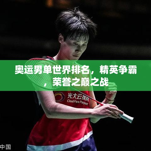 奧運(yùn)男單世界排名，精英爭(zhēng)霸，榮譽(yù)之巔之戰(zhàn)