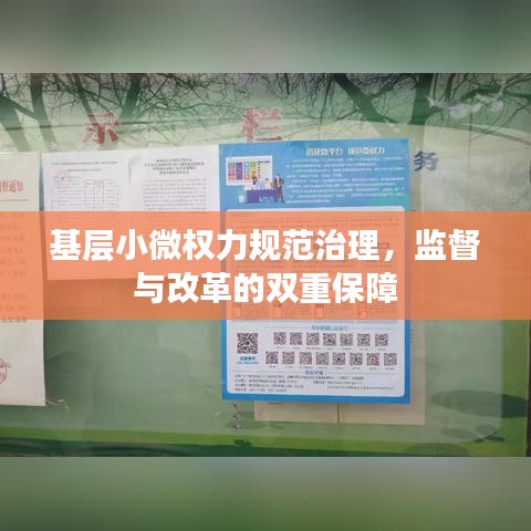 基層小微權(quán)力規(guī)范治理，監(jiān)督與改革的雙重保障
