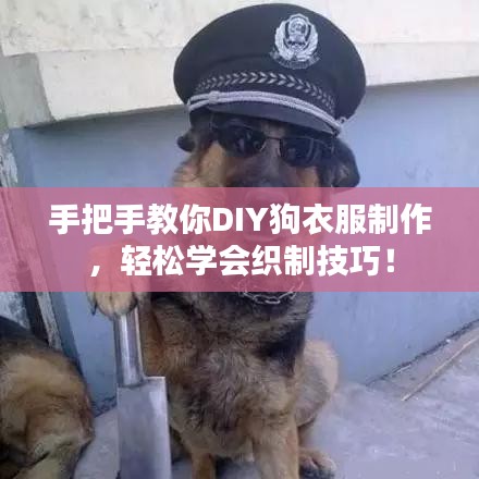 手把手教你DIY狗衣服制作，輕松學(xué)會(huì)織制技巧！