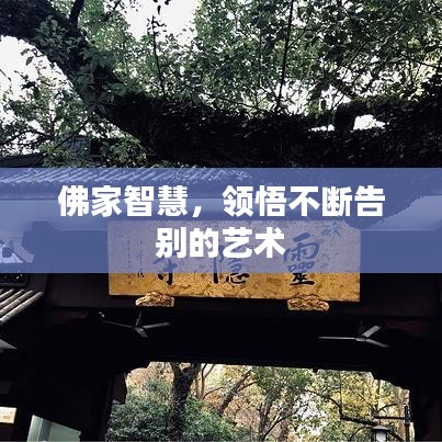 佛家智慧，領(lǐng)悟不斷告別的藝術(shù)