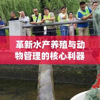 革新水產(chǎn)養(yǎng)殖與動物管理的核心利器，新型高效智能地籠