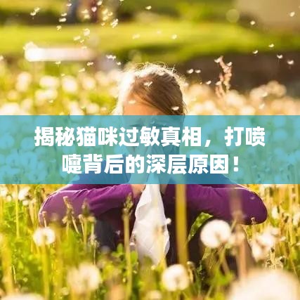 揭秘貓咪過敏真相，打噴嚏背后的深層原因！