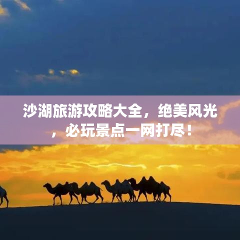 沙湖旅游攻略大全，絕美風(fēng)光，必玩景點(diǎn)一網(wǎng)打盡！