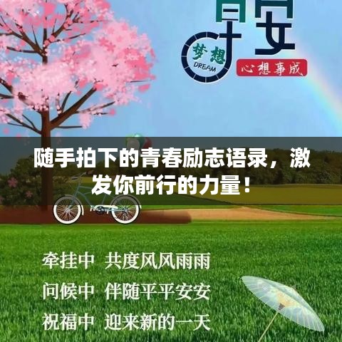 隨手拍下的青春勵(lì)志語(yǔ)錄，激發(fā)你前行的力量！