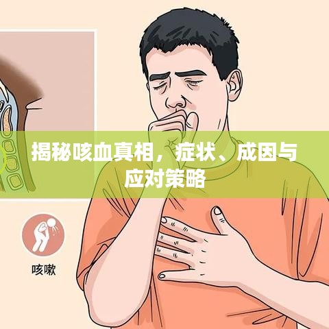 揭秘咳血真相，癥狀、成因與應(yīng)對(duì)策略