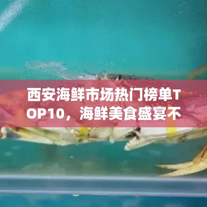 西安海鮮市場熱門榜單TOP10，海鮮美食盛宴不容錯過！