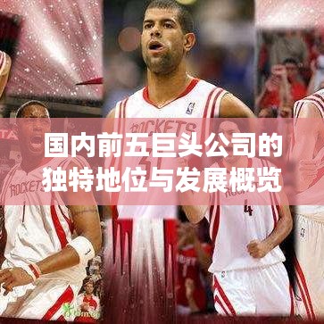 國內(nèi)前五巨頭公司的獨(dú)特地位與發(fā)展概覽
