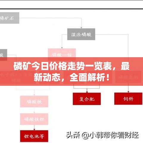 磷礦今日價(jià)格走勢一覽表，最新動態(tài)，全面解析！