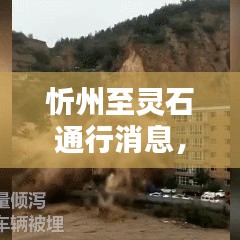 貴人善忘 第2頁