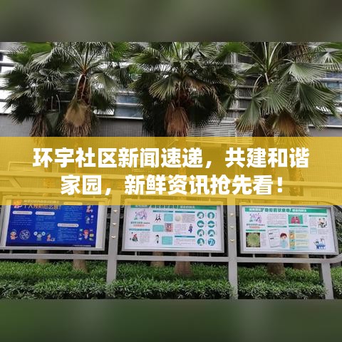 環(huán)宇社區(qū)新聞速遞，共建和諧家園，新鮮資訊搶先看！