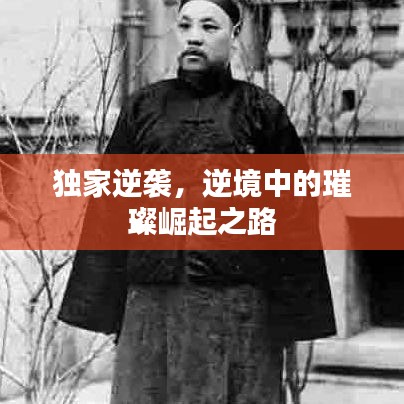 獨(dú)家逆襲，逆境中的璀璨崛起之路